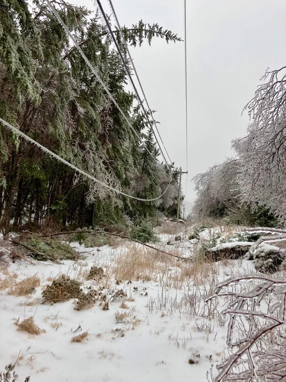 Des lignes électriques recouvertes de glace dans une région de campagne frappée par la tempête.