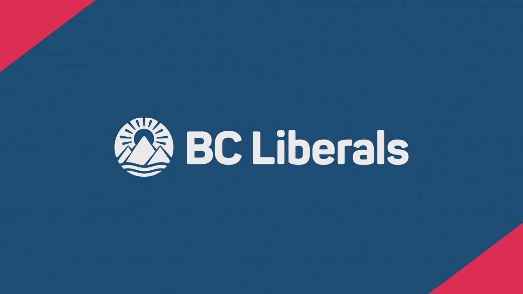 Click to play video: 'BC Liberals member asks court to delay leadership vote result'