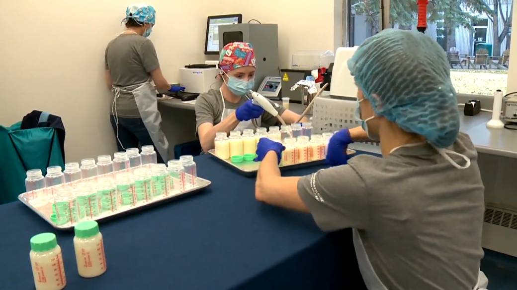 Click to play video: 'Calgary milk bank serves as' lifesaver 'for struggling babies'