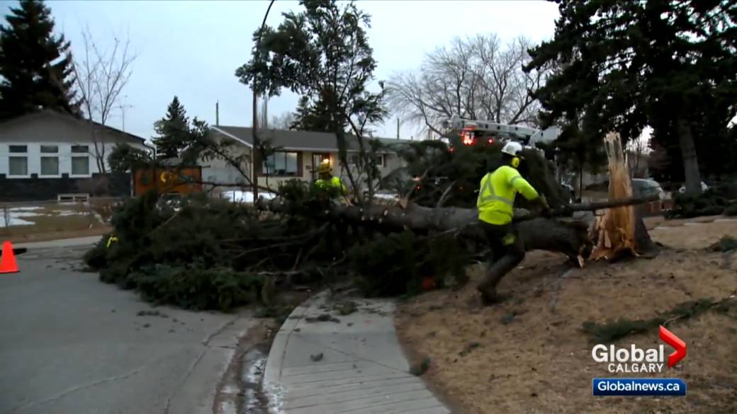 Click to play video: 'Wind packs powerful punch in Calgary'