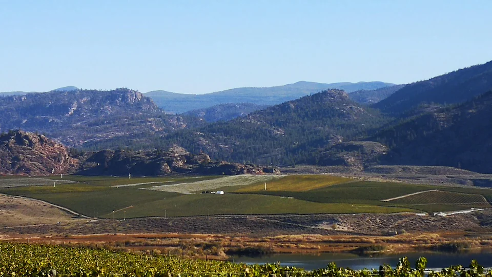 Des vignobles et des champs de petits fruits surplombent une vallée entourée de montagnes.