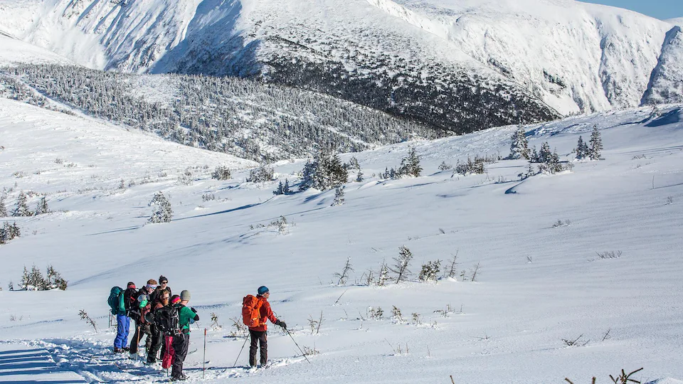 Plusieurs personnes sont en ski sur une montagne enneigée. 