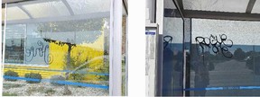 Examples of graffiti vandalism on Windsor bus shelters, as documented by Windsor police.