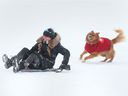 Windsor resident Tiffany Irene and her dog Tyson hit the hill for sledding fun at Malden Park on Feb. 3, 2022.