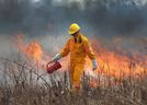 A technician with the Essex Region Conservation Authority is shown during a controlled burn at the Hillman Marsh on Tuesday, March 22, 2016, in Leamington, Ont.