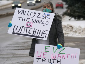 Debra Tychkowski was protesting the captivity of Lucy the elephant outside the Edmonton Valley Zoo on Saturday January 2, 2021.