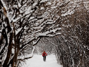 A cyclist navigates the heavy snow on a multi use path near 109 Street and 89 Avenue in Edmonton, on Friday March 4, 2022.