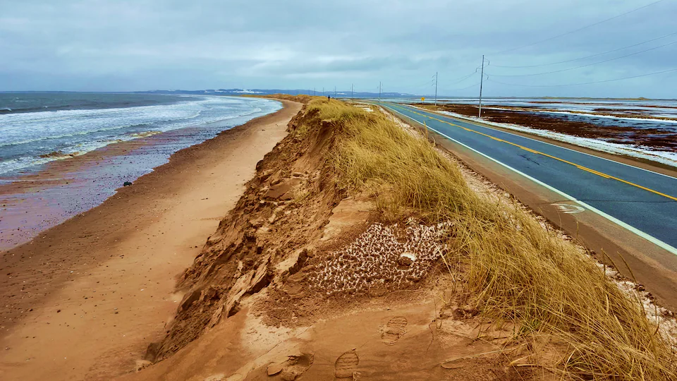Une dune grugée par l'érosion à proximité d'une route.