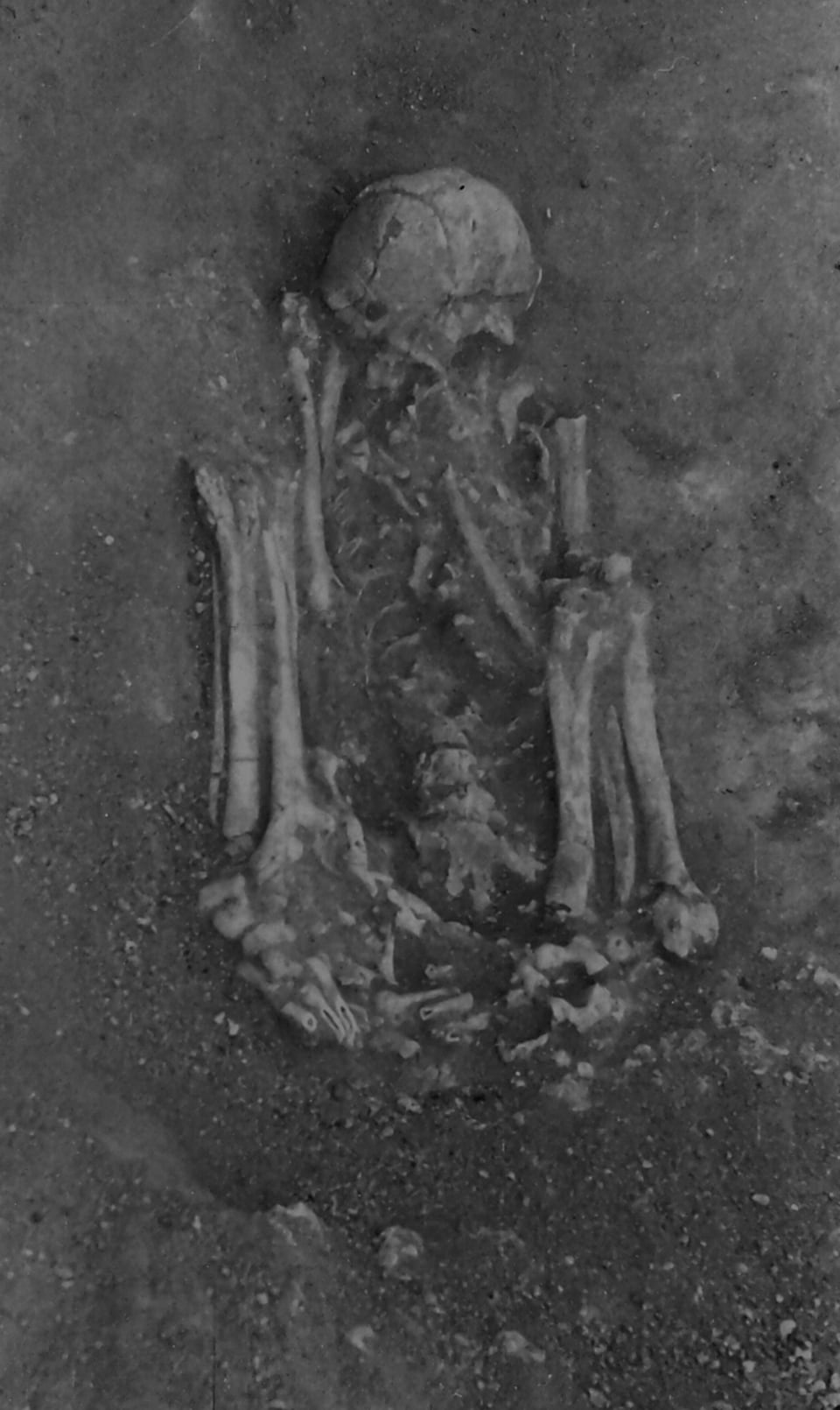 Image d'un squelette prise à Arapouco en 1962.