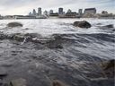 The waters of the St. Lawrence River flow past the city of Montreal Wednesday, November 11, 2015. The city met the press today to detail the fallout of its decision to dump 4.9 billion liters of untreated wastewater into the St. Lawrence to repair parts of its sewage system.