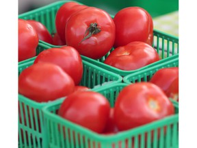 Fresh tomatoes are shown at Downtown Windsor Farmers' Market on Saturday, April 2, 2002.