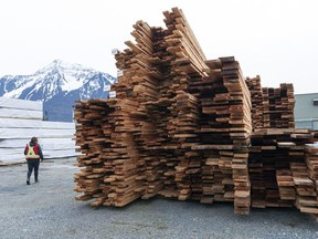 Stacks of lumber sit outside at the Power Wood mill in Agassiz, BC, March, 24, 2022.