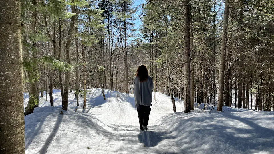 Vicky de dos marche sur un chemin de neige dans le bois.