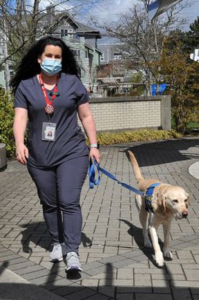 Emergency department social worker Christine Simmons with Roo, a female Labrador/golden retriever, outside Peace Arch Hospital in White Rock.