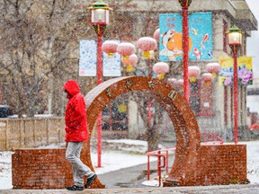 A pedestrian walks through Calgary's Chinatown as gusts fall Tuesday afternoon.