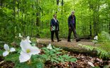 David Fletcher and Sylvia Oljemark walk through woods of Bois de Liesse park, an area they help save from development.