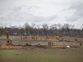 Trees are cleared at the site of the future battery plant, on EC Row Avenue East and Banwell Road, on Monday, April 25, 2022.