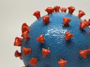 A 3D-printed model of a SARS-CoV-2 particle, 
