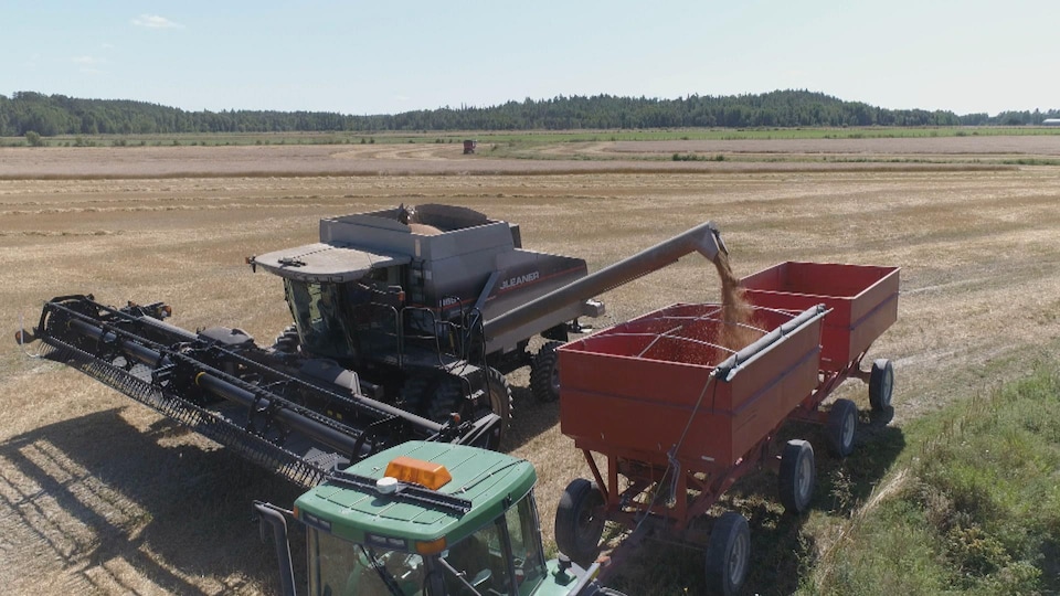 A combine harvester unloads its crop into a trailer.