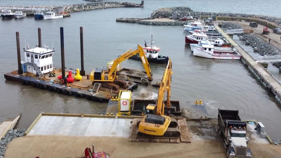 Excavators remove sediment in a fishing port.