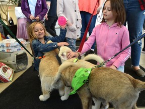 Adopt-a Pet Day Event
