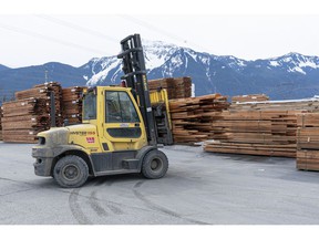 Its estimated that BC's timber harvest will have to shrink by 12 per cent this year under the weight of old-growth logging deferrals, losses from forest fires and continuing hangover from the mountain pine beetle infestation.  Pictured here, stacks of lumber sit outside at the Power Wood mill in Agassiz, BC, March, 24, 2022.