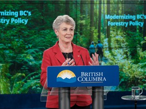 Forests Minister Katrine Conroy.