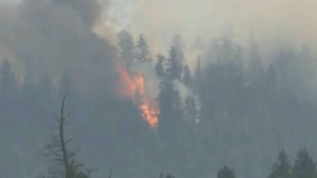 Click to play video: 'BC Wildfire Service switches to year-round operations'