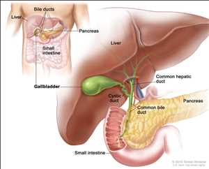 Global Bile Duct Cancer (Cholangiocarcinoma) Treatment Market Industry