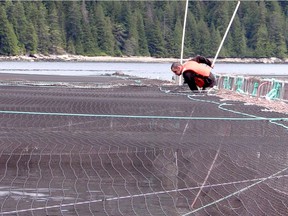A salmon farmer is pictured at Hardwicke Island Farm north of BC's Discovery Islands.