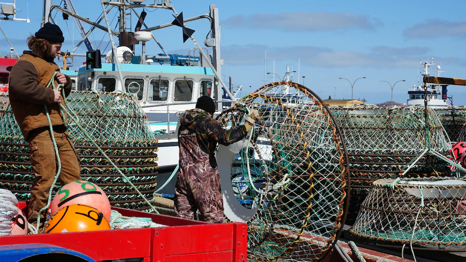 Des pêcheurs manipulent des casiers de pêche au crabe et du matériel de pêche.
