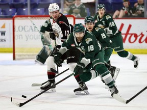 Vancouver Giants forward Adam Hall battles for a puck with Everett's Hunter Campbell (18) and Matthew Ng in Game 3 on April 27 at the Langley Events Centre.