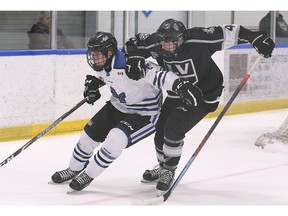 Riley Wood, left, of the London Nationals, and LaSalle Vipers' defenseman Shaun Horne tangle during Sunday's game at the Vollmer Complex.