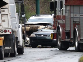 A tree fell across Marine Way in South Vancouver on Tuesday afternoon April 12, 2022, killing one person.