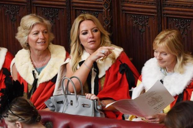 The National: Michelle Mone forced to come clean on business empire boast after Twitter rammed SNP MP