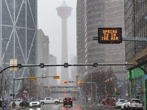 A city information display welcomes spring as snow falls in Calgary on Tuesday, April 19, 2022.