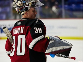 Vancouver Giants goalie Jesper Vikman.