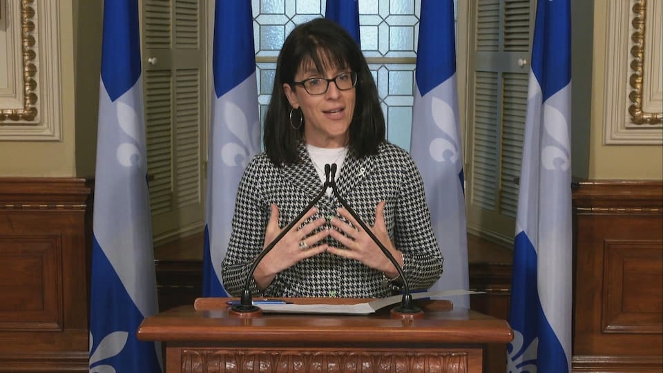 Sonia LeBel gives a press briefing at the National Assembly.  She is standing behind a lectern and in front of Quebec flags.