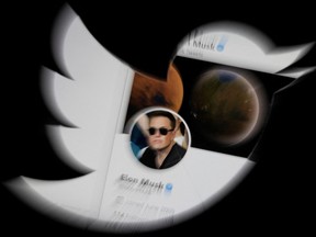 Elon Musk's Twitter account is seen through the Twitter logo in this illustration.
