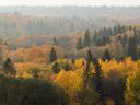 Hazy air settles in the river valley as seen from Constable Ezio Faraone Park in Edmonton, on Wednesday, Oct. 6, 2021. 