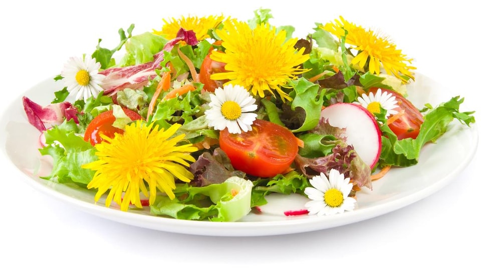 Fresh spring salad with edible flowers.  (dandelion and daisy)