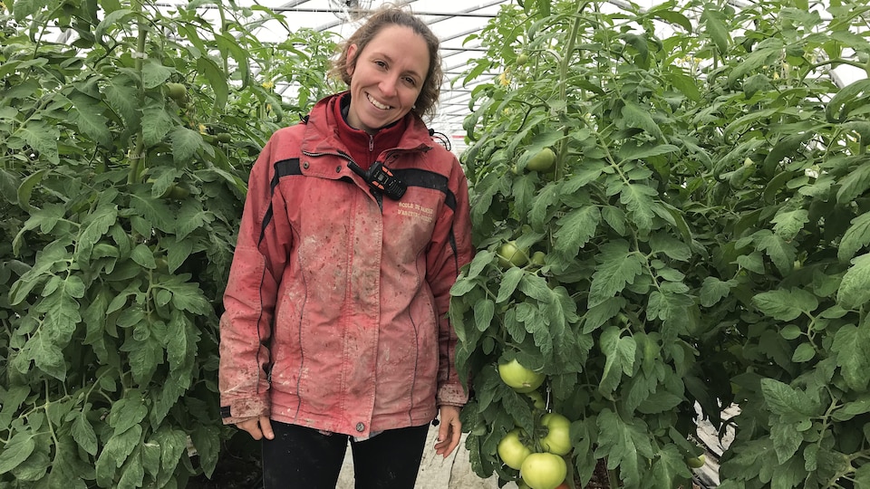 Kamylle Béchard-Plourde smiles at the camera in a greenhouse, next to a tomato plant.