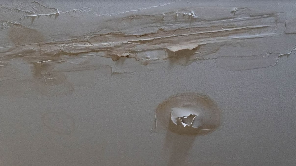 Traces of water infiltration and mold on a ceiling.