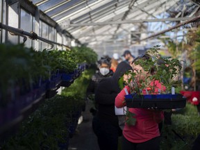 This was the last year the popular plant sale took place at the aging Lanspeary Park Greenhouse.  A new city-operated facility opens soon in Jackson Park.