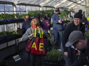 Great deals on perennials have always been a big lure for garden lovers at the city's Lanspeary Park Greenhouse plant sale.