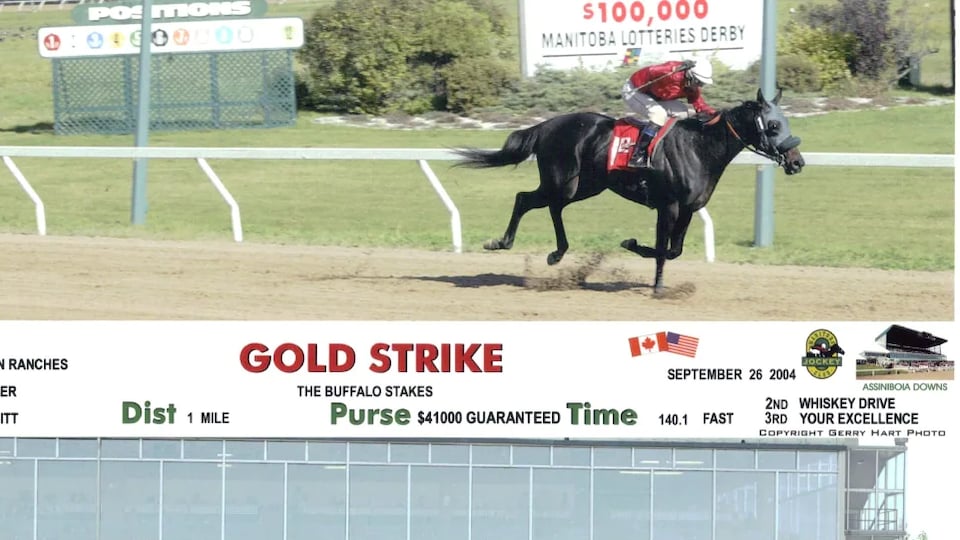 A photo of the black mare Gold Strike, winning a race at Winnipeg's Assiniboia Downs in 2004. 