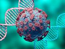 Coronavirus and DNA, virus mutation.