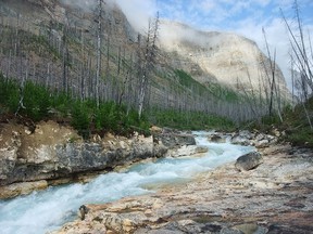 One Burgess Shale site is near BC's Marble Canyon shown here.