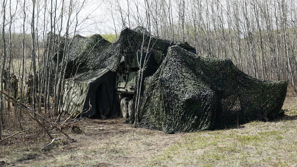 A camouflaged tank among trees.