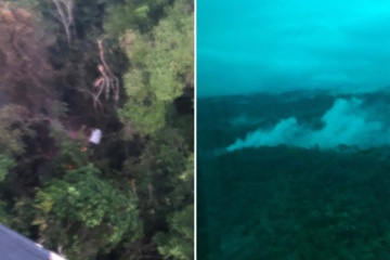 Eleven dead, including the daughter of a politician, when a plane fell in the jungle